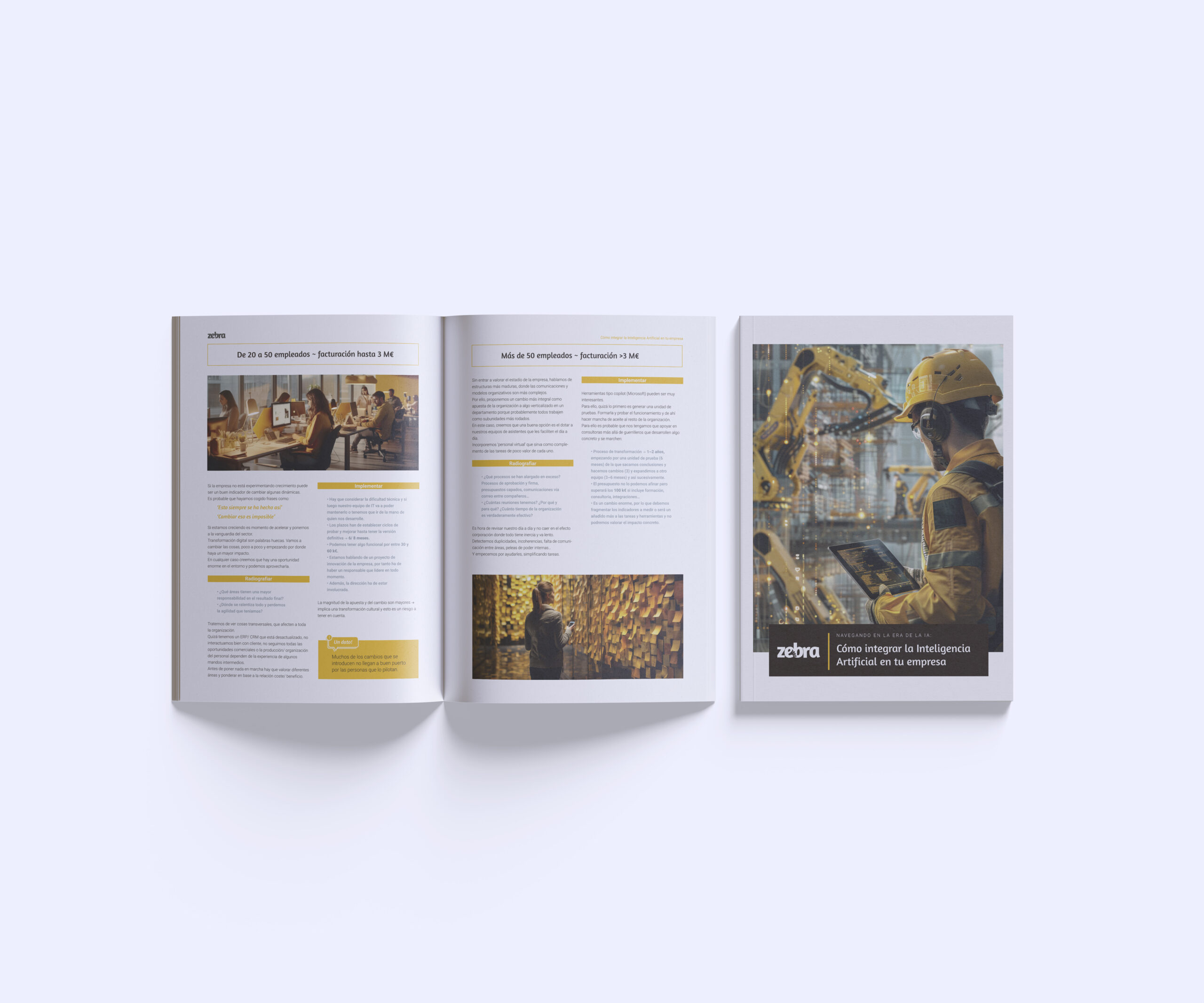 diseñador y publicista maqueta libro para zebra