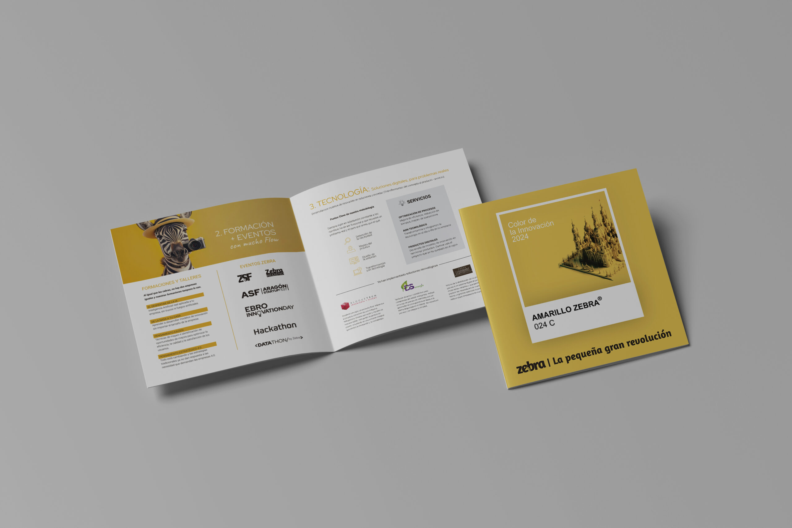 diseñador y publicista maqueta libro para zebra